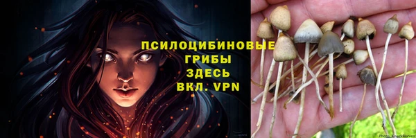 стаф Армянск
