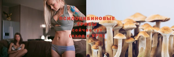 прущая мука Козловка