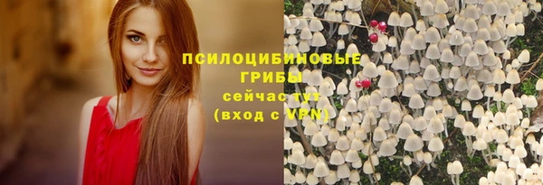 соль ск Арсеньев