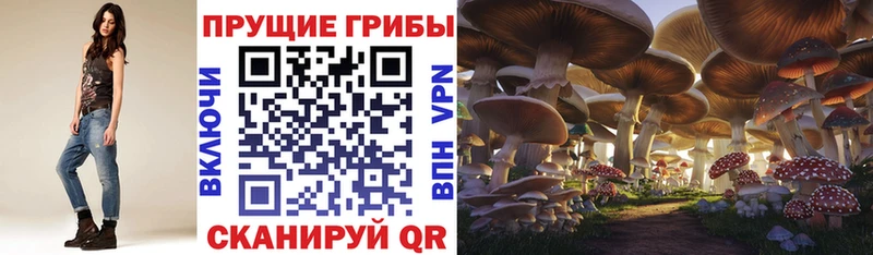 даркнет сайт  darknet официальный сайт  Псилоцибиновые грибы прущие грибы  Протвино 